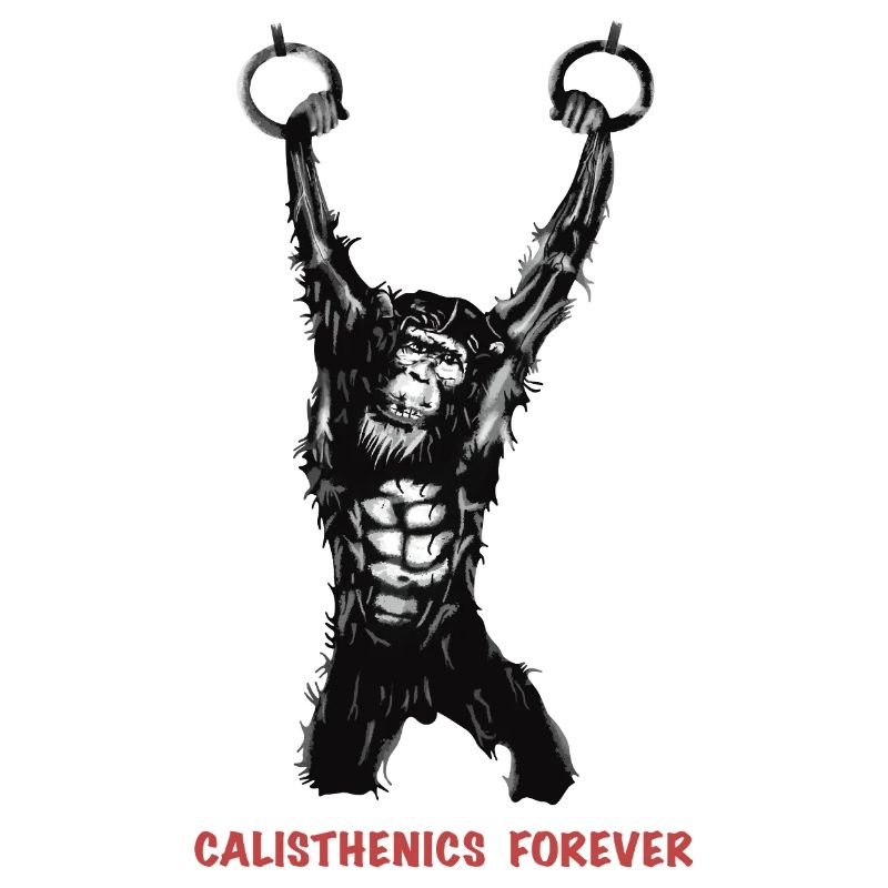 Calisthenics Evolution - Gymnastikringe