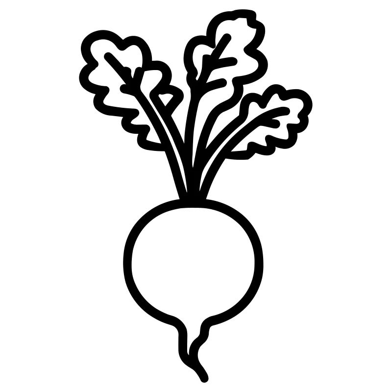 Rübe
