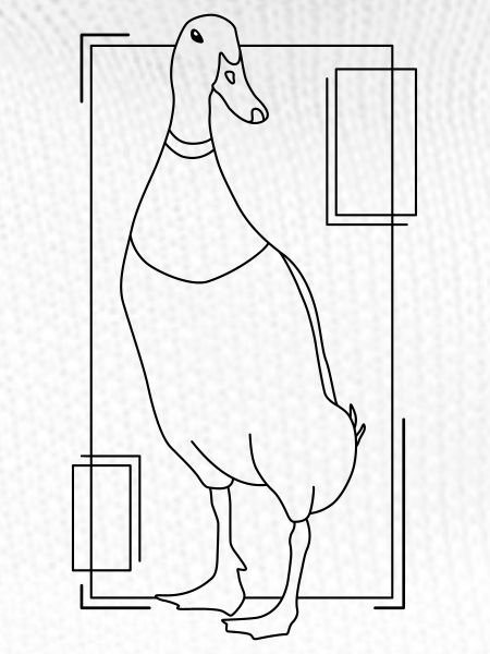 Runner duck in geometric design
