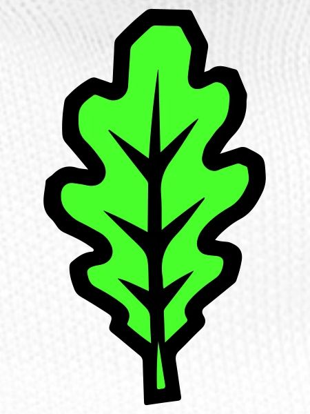 Eichenblatt Blatt Symbol