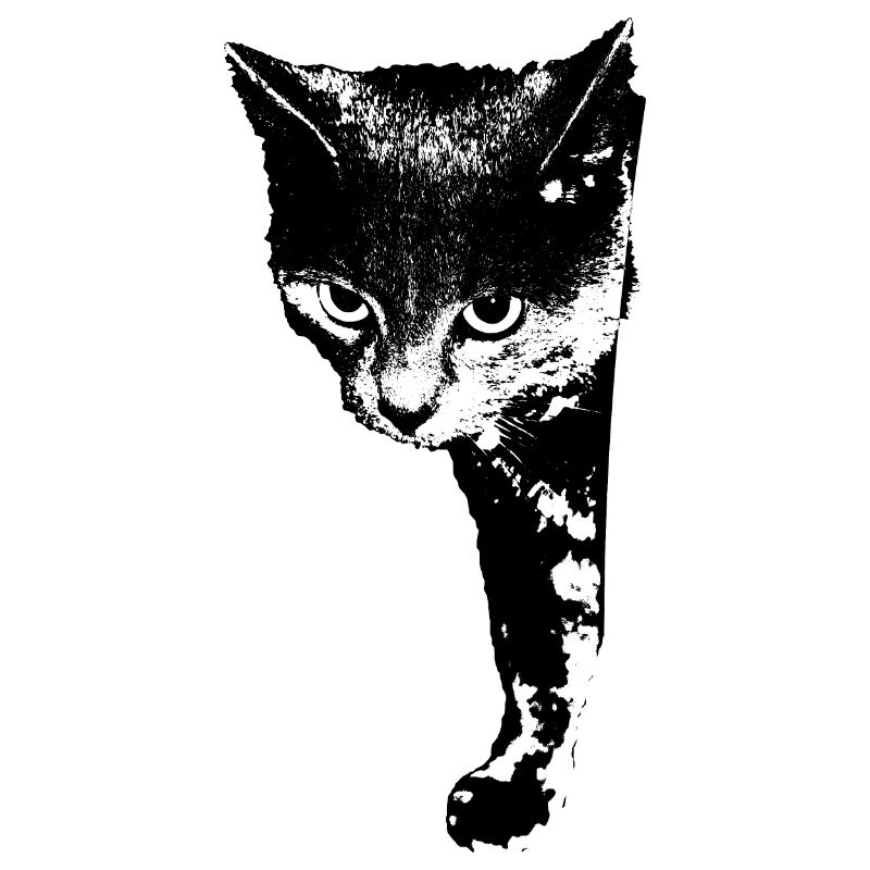 Chat Chat Chat Chat Chemise Cadeau