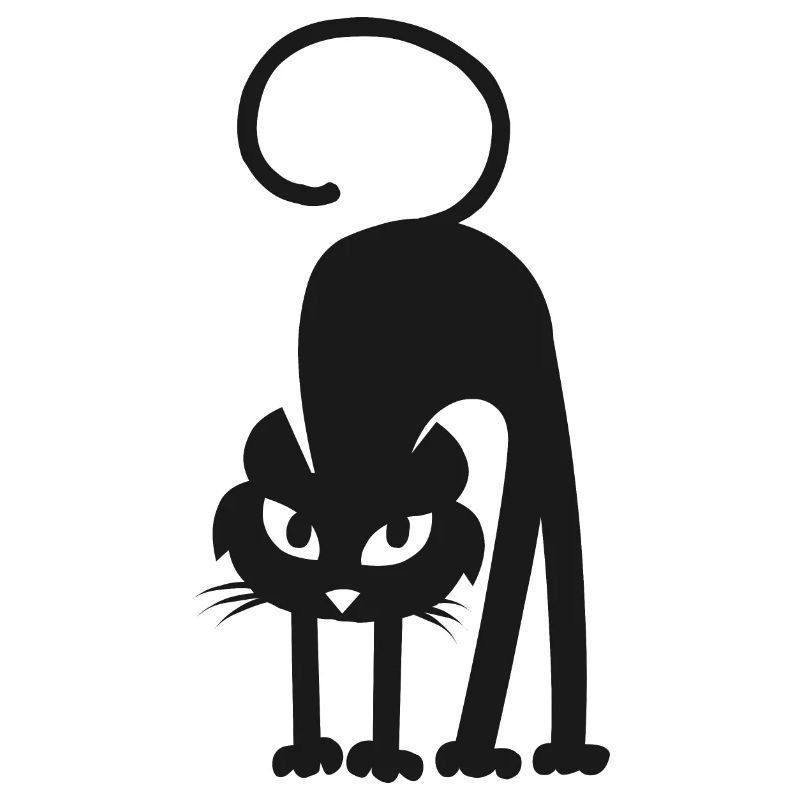 black cat