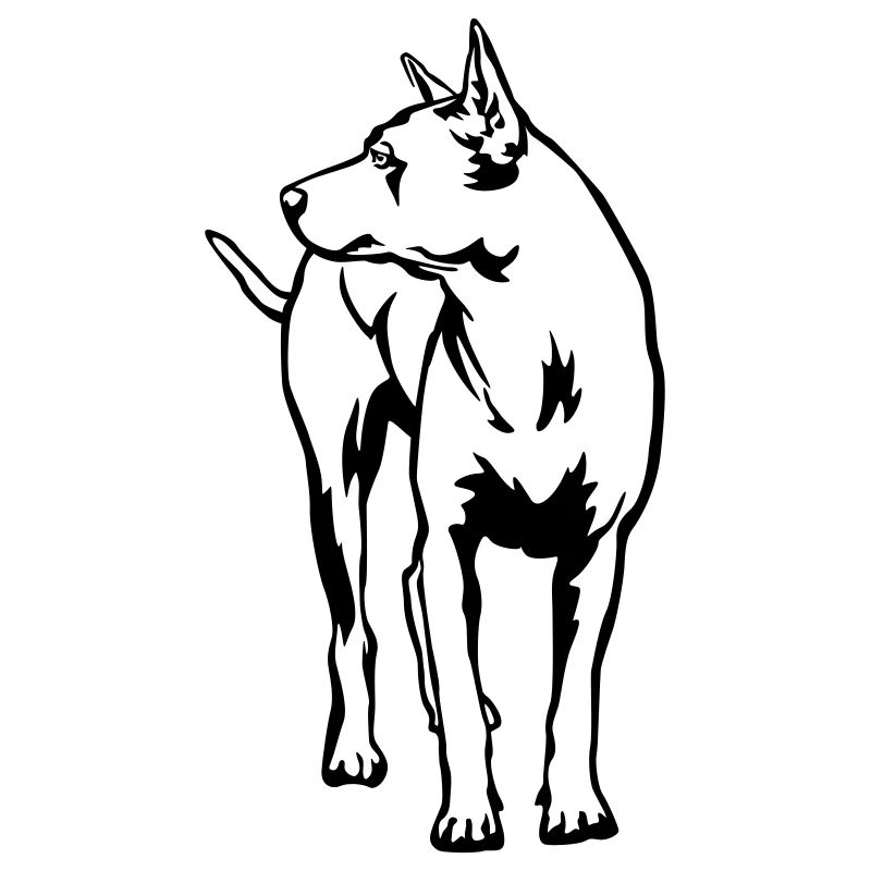 Thaï Ridgeback