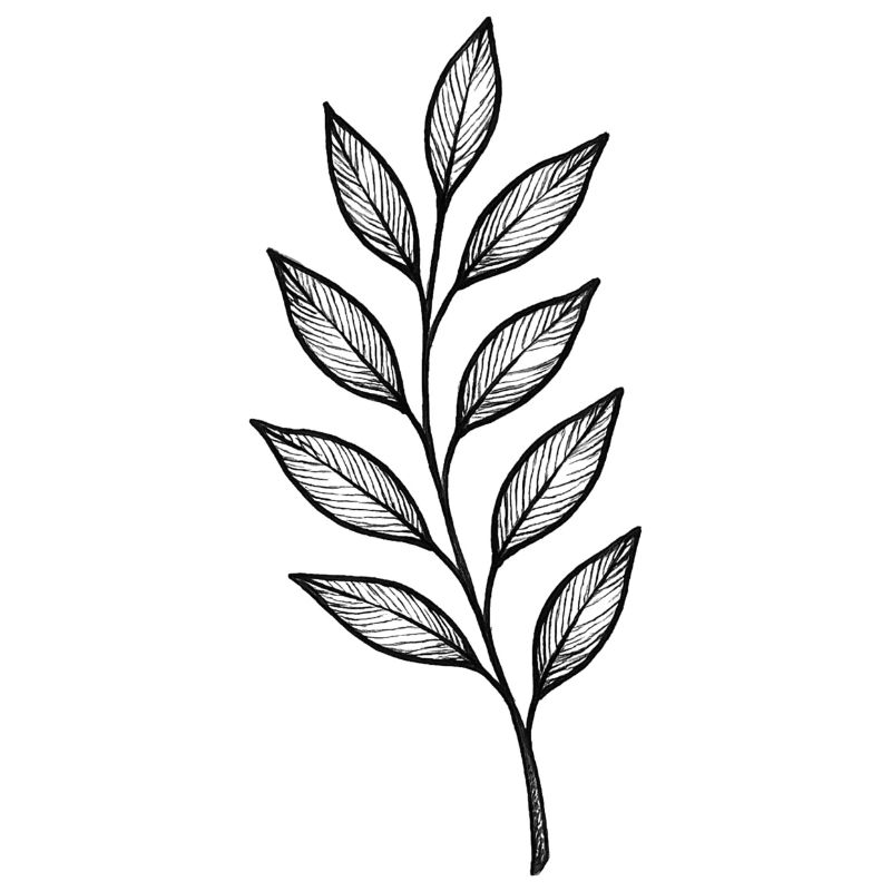 Black Leaves Gloss Pattern