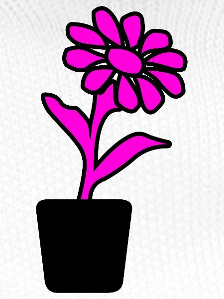 Blume