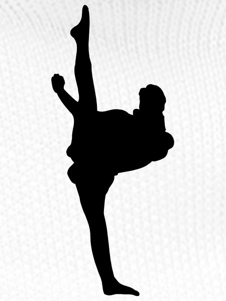 Karate oder Taekwondo High Kick