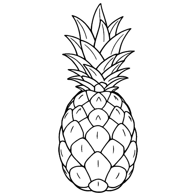 Minimalistic Pineapple