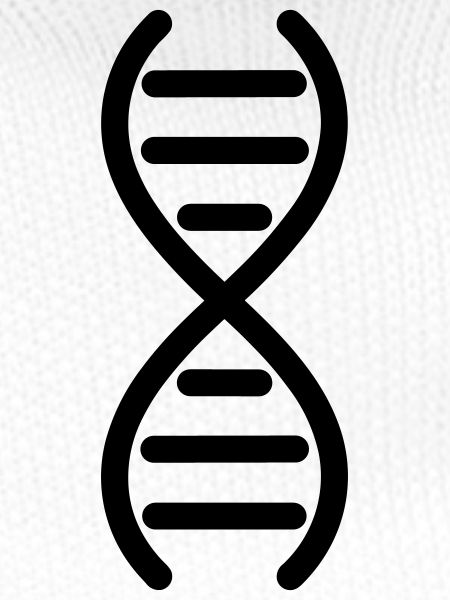 DNA-DNA-Doppelhelix