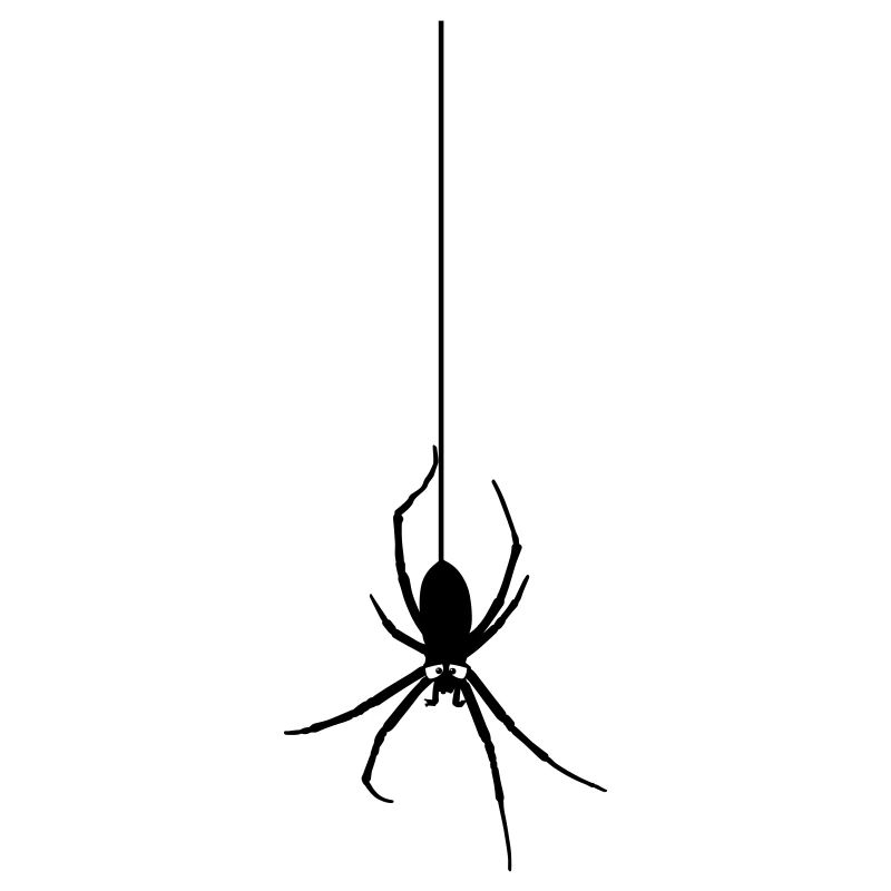Die Spinne