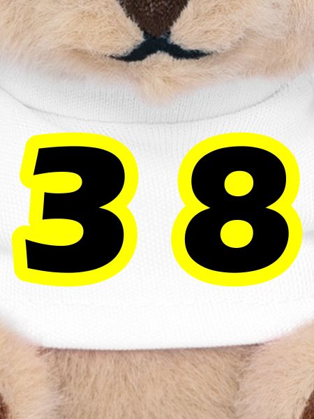 Symbole du chiffre 38