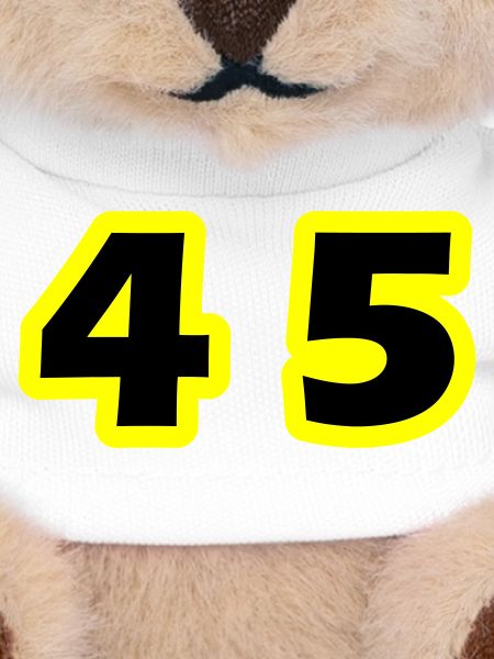 45 Number symbol