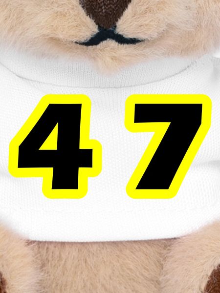 47 Symbole numérique