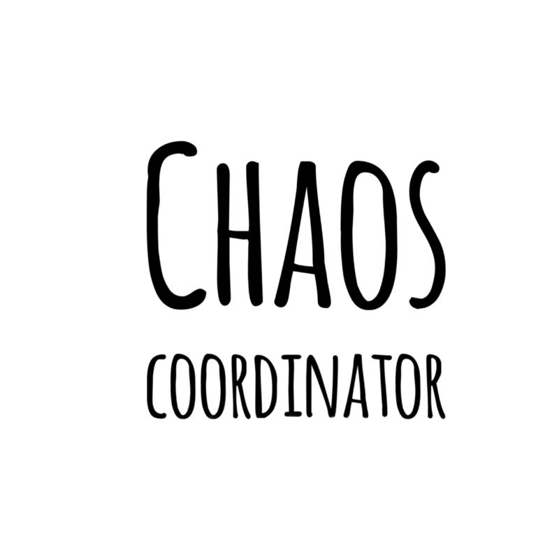 Chaos Coordinator – Funny Office Saying
