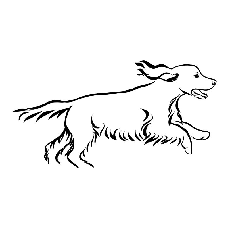 Cocker