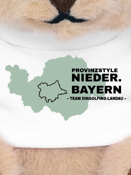Lower Bavaria | DINGOLFING-LANDAU