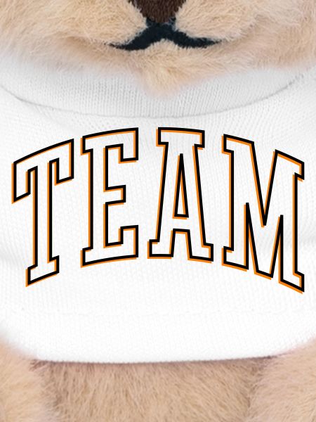 Team Outline