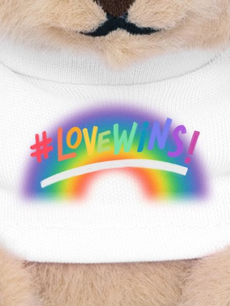 Love Wins Rainbow