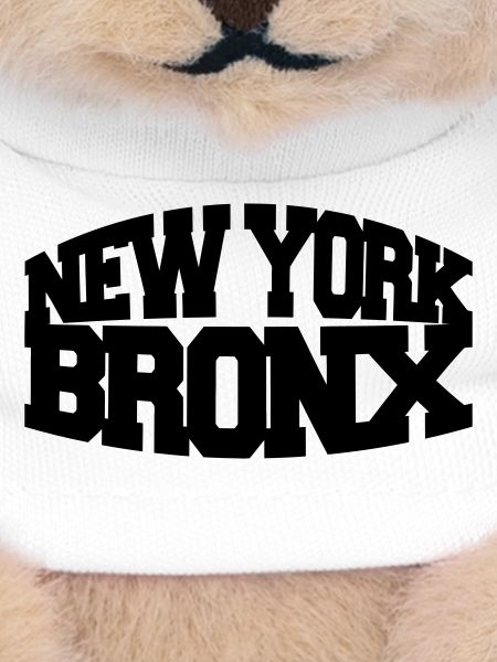 new york bronx