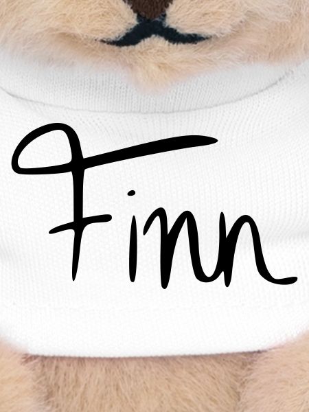 Finn