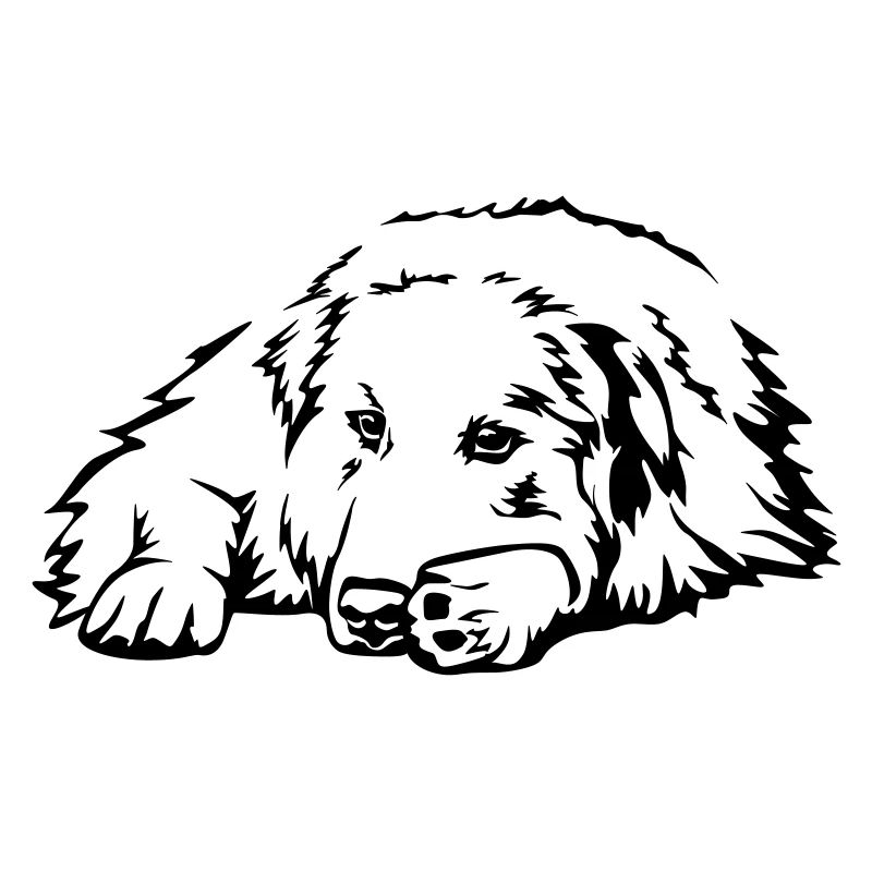 Pyreneenberghund