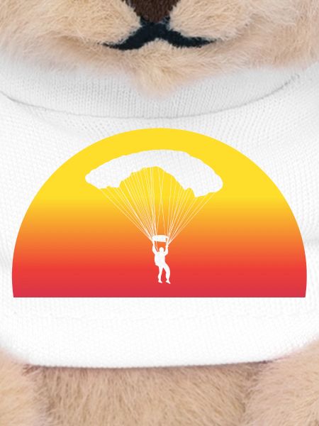 Adventurous Skydive Sunset