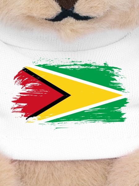 drapeau de la Guyane