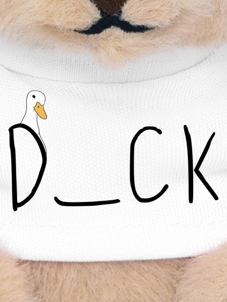 Duck Quiz