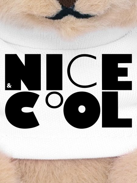 NICE&CoOL