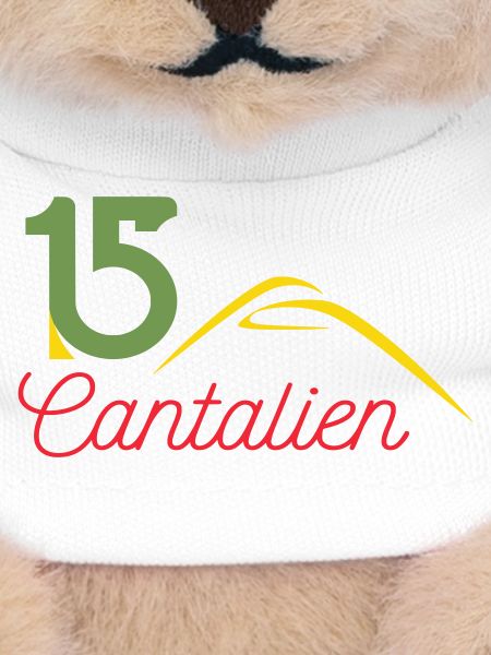 Cantal 15 Logo