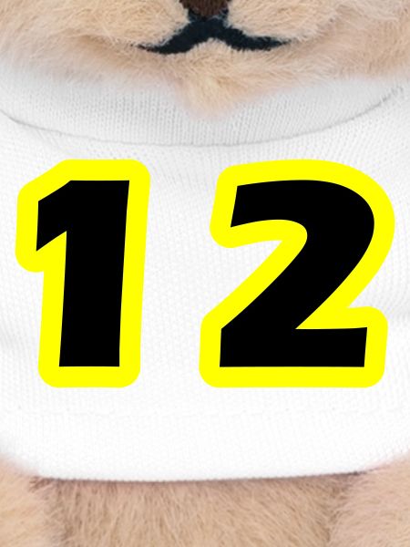 12 Number Symbol