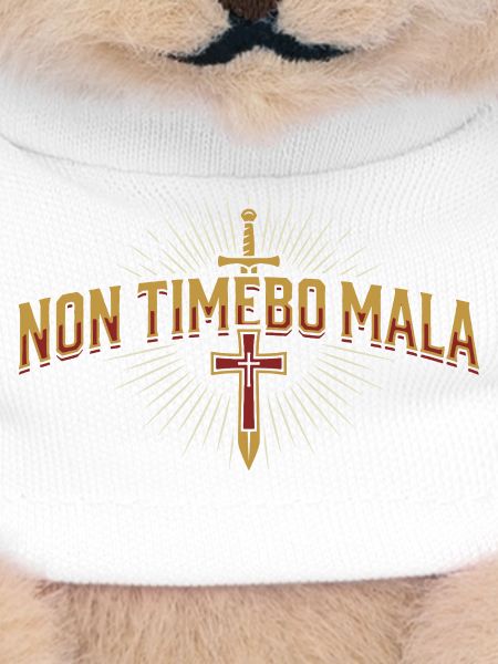 Non Timebo Mala