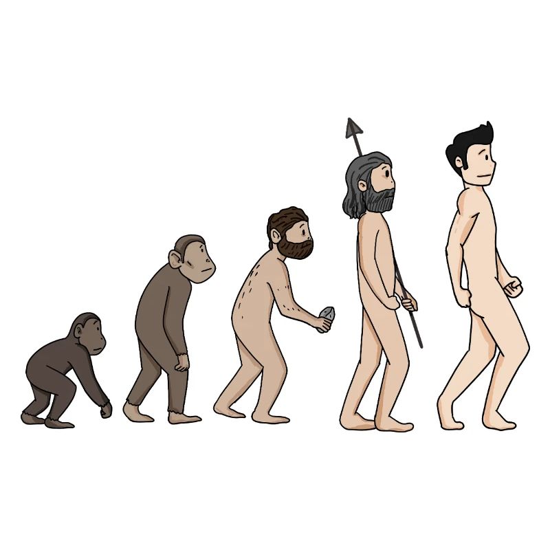 Human Development - Evolution Illustration