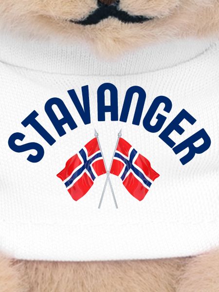 Stavanger Norway Flags