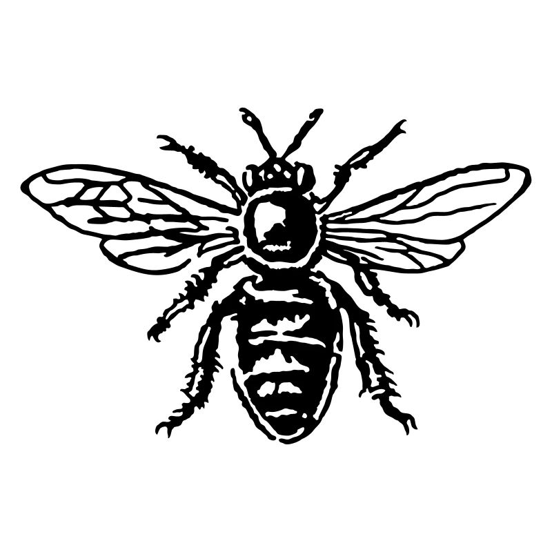 Abeille