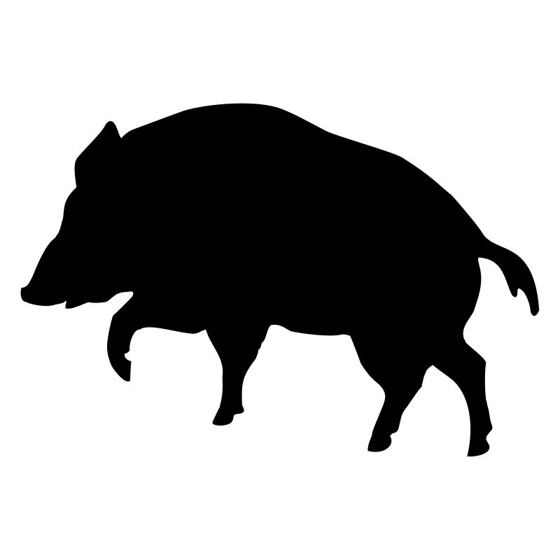 sanglier