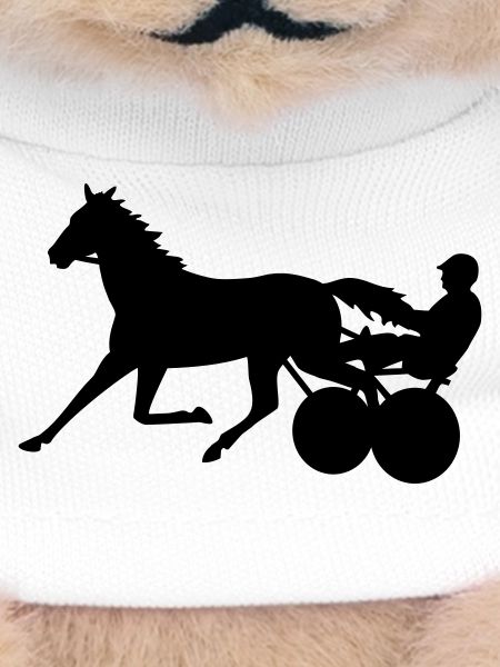 harness racing