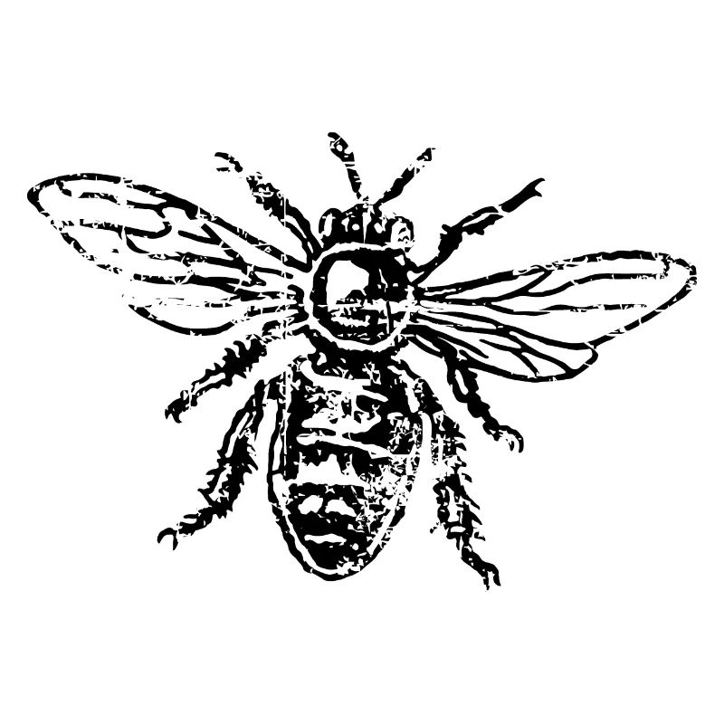 Bee Honeybee