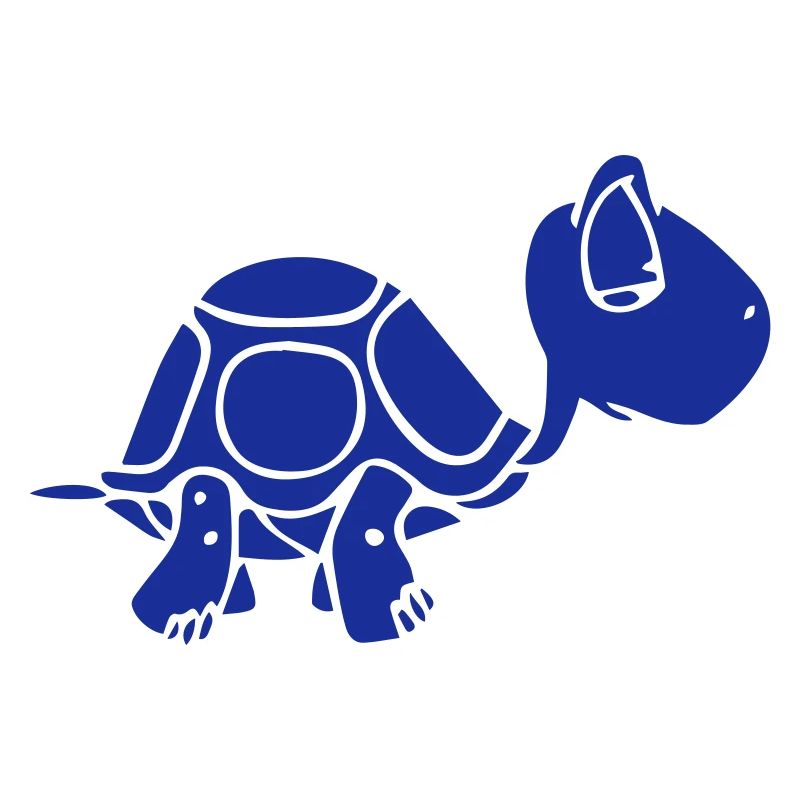 A turtle that takes its time