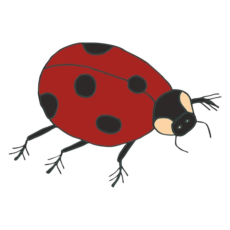 marienkäfer