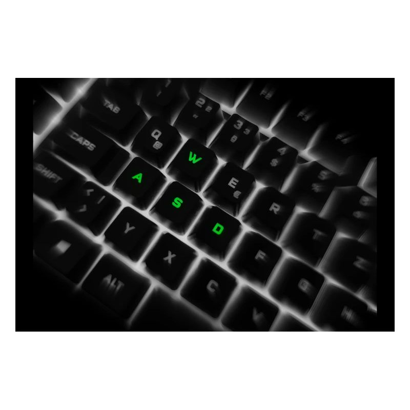 Impression d’art sur le clavier néon WASD