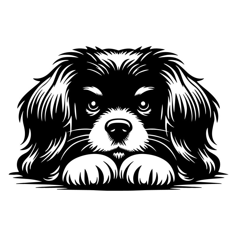 Tibetan Spaniel Head with Paws