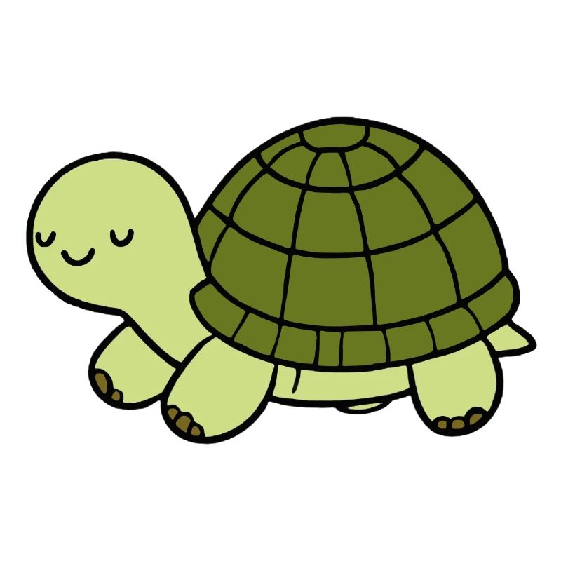 Turtle