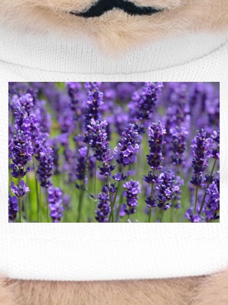 Lavender Field Dreamscape
