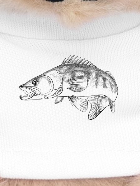 pike-perch