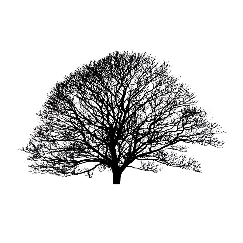 Shadow_no logo