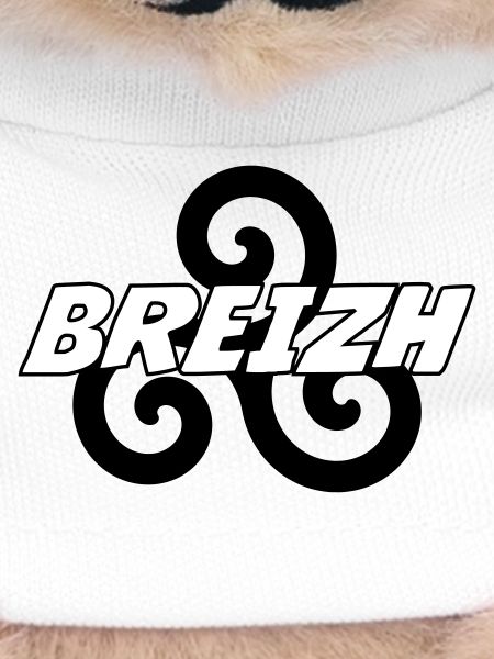 Breizh - Brittany - BZH