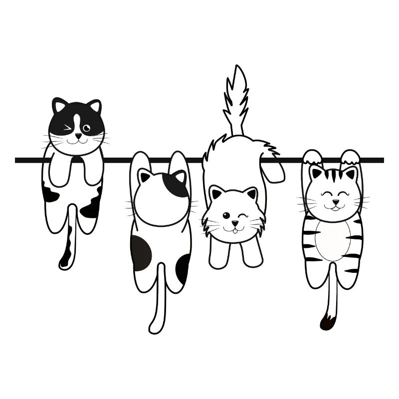 Chat de lessive