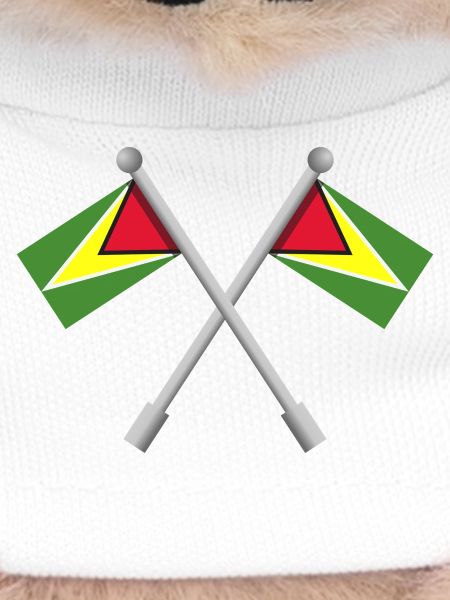 Flagge von Guyana
