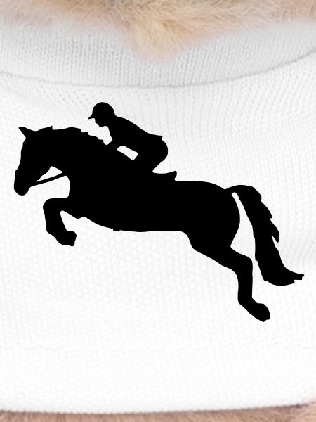 Springreiten