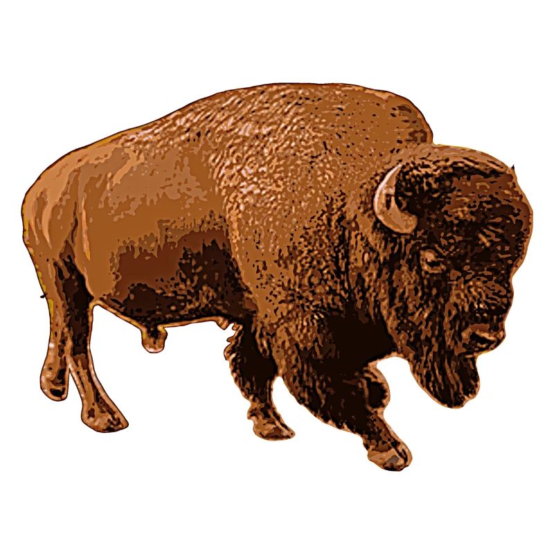 bison